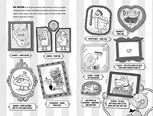 Kay's Anatomy: A Complete (and Completely Disgusting) Guide to the Human Body