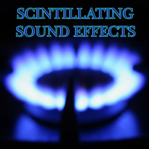 Key Keys Car Keys House Keys Jingle Metal Keys Jingle Door Car Auto Vehicle Jo Jon Oh John Oh Sound Effects Sfx FX Foley Key [Clean]