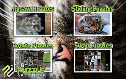 Kitty Cat Jigsaw Puzzle Games