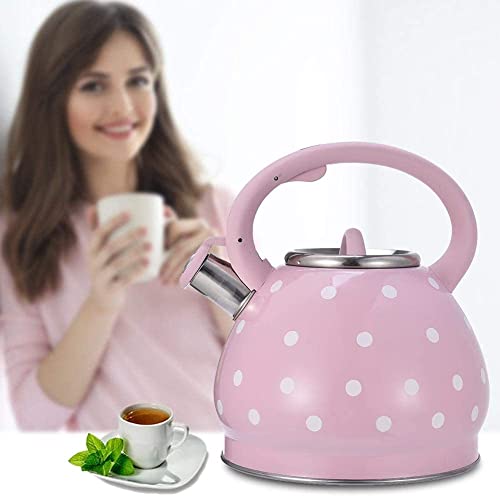 L Whistling Kettle Household Stainless Steel Hemispherical Gas Stove Flat Bottom Kettle White (Stainless Steel)