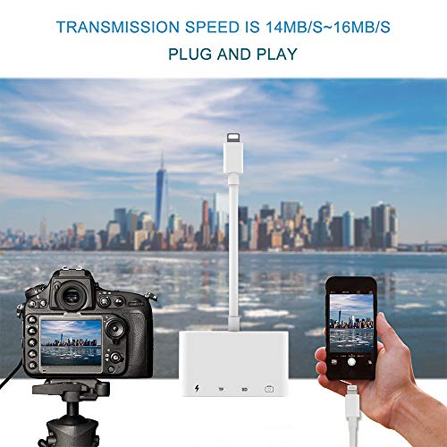 Lector de Tarjetas SD TF, Adaptador de Lector de Tarjetas 4 en 1 con Interfaz USB 2.0 Hembra OTG, Adaptador Para Cámara de Fotos Compatible con Phone 12/8/Pad(soporte iOS 14)-Blanco