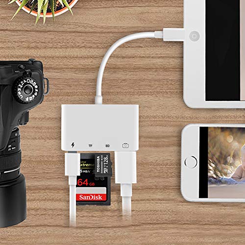 Lector de Tarjetas SD TF, Adaptador de Lector de Tarjetas 4 en 1 con Interfaz USB 2.0 Hembra OTG, Adaptador Para Cámara de Fotos Compatible con Phone 12/8/Pad(soporte iOS 14)-Blanco