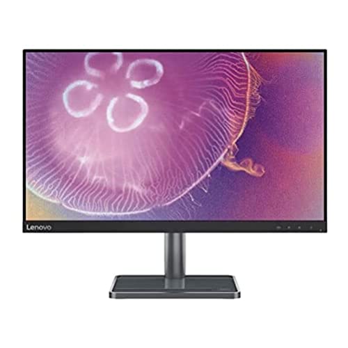 Lenovo Monitor 24q-35 24'' 2K QHD con EyeSafe (IPS Panel, 75 Hz, 4 ms, HDMI, DP, Free Sync, Pie Metal con Auriculares y Phone Holder), Color Negro