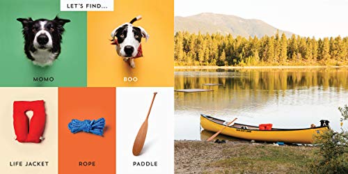 Let's Find Momo Outdoors!: A Hide-and-Seek Adventure with Momo and Boo: 5