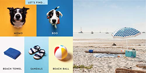 Let's Find Momo Outdoors!: A Hide-and-Seek Adventure with Momo and Boo: 5