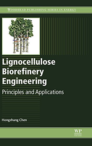 Lignocellulose Biorefinery Engineering: Principles and Applications (English Edition)
