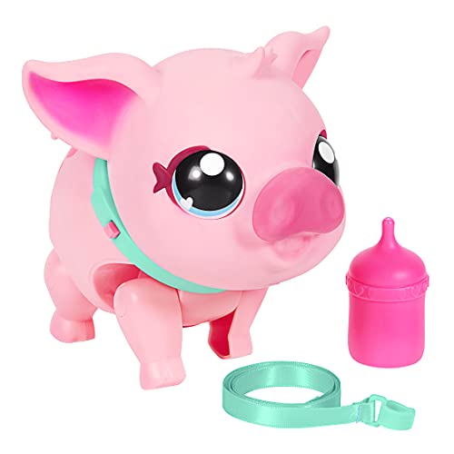 Little Live Pets 674 26366 EA Pet Piggly | Suave y Jiggly Interactive Toy Pig Que Camina, Baila y Nuzzles. 20+ Sonidos y reacciones. Baterías Incluidas. para niños de 3 años +, Multicolor