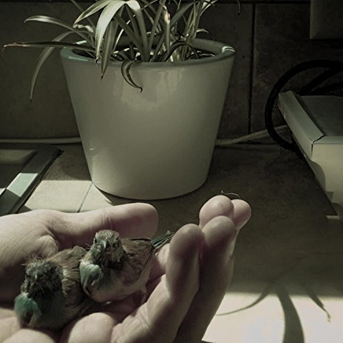 Mario Kart 8 for the Nintendo Switch