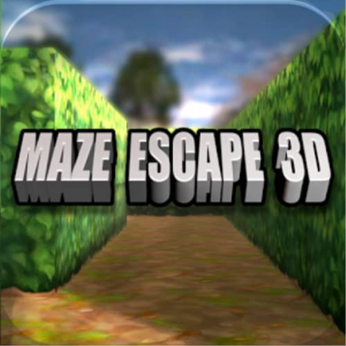 Maze Escape 3D - The Snow Maze