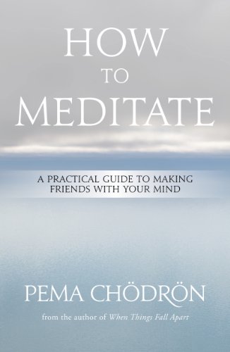Meditation: How to Meditate: A Practical Guide to Making Friends with Your Mind (English Edition)