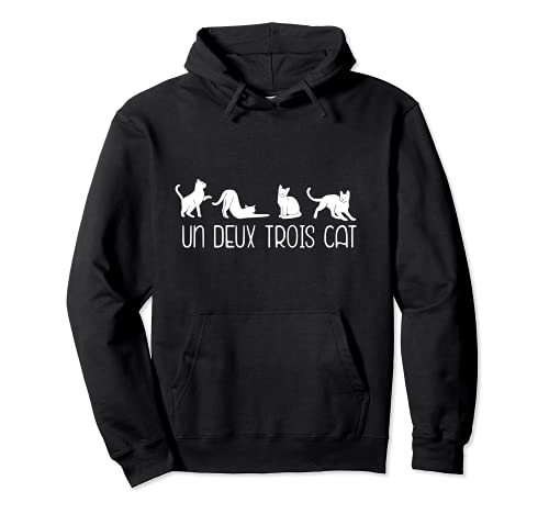 Meme divertido de la lengua francesa de la ONU DEUX TROIS CAT 1 2 3 4 Cats Sudadera con Capucha