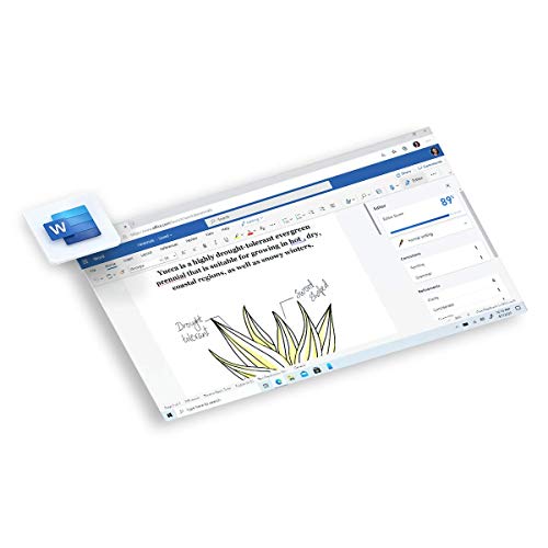 Microsoft 365 Suscripción personal de 1 año para PC, Mac, iOS y Android, licencia de 1 usuario, tarjeta clave