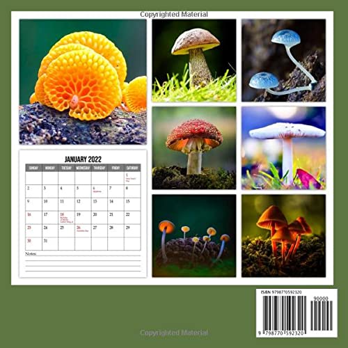 Miraculous Mushroom 2022 Calendar: Fabulous Fungi Squared Mini Planner Jan 2022 to Dec 2022 PLUS 6 Extra Months Of 2023 | Premium Pictures Gift Idea ... Plant LoversKalendar calendario calendrier
