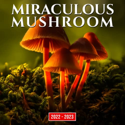 Miraculous Mushroom 2022 Calendar: Fabulous Fungi Squared Mini Planner Jan 2022 to Dec 2022 PLUS 6 Extra Months Of 2023 | Premium Pictures Gift Idea ... Plant LoversKalendar calendario calendrier