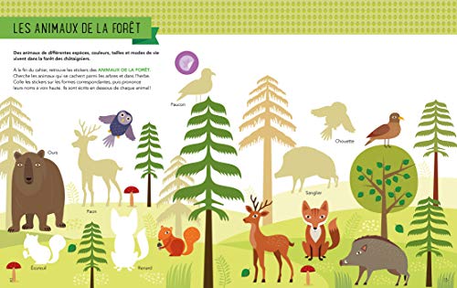 Montessori - Activités récréatives pour bien commencer l'école: Avec plus de 200 stickers (HEN.BIEN GRANDI)