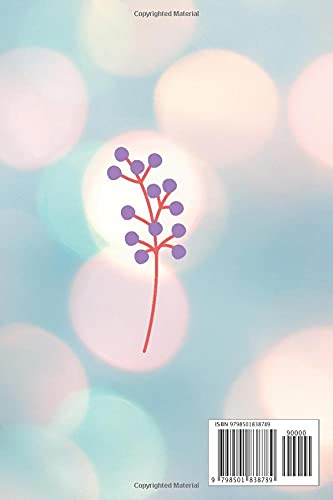 My Password Log Book: Internet Website Passwords