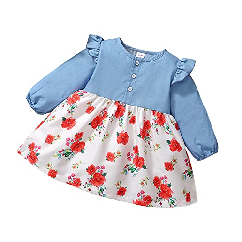 NCONCO Vestido de manga larga con volantes y falda con estampado floral para niñas de 12 a 4 años, Azul y blanco., 2-18 meses
