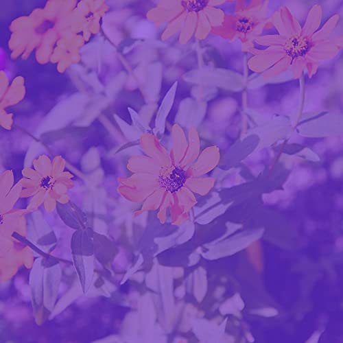 New Age Music Soundtrack for Steam Baths