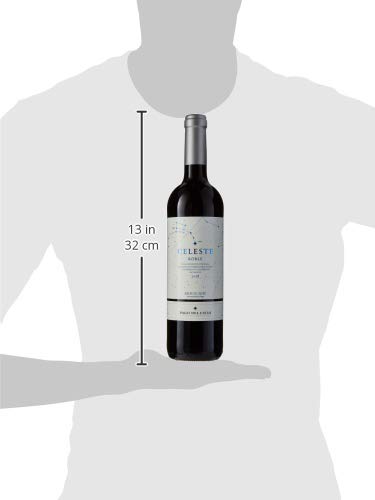 Pago del Cielo Roble, Vino Tinto, 75 cl - 750 ml