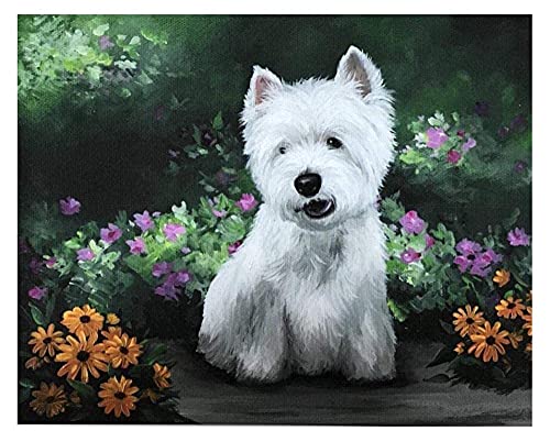 Pintar Por Número Cuadro Grande _ West Highland White Terrier Mascota Perro Animal _ Juegos De Pintura _ Incluye Pinceles Y Pigmentos Acrílicos _ 40X50Cm _ 【Giveaway 】Wooden Frames