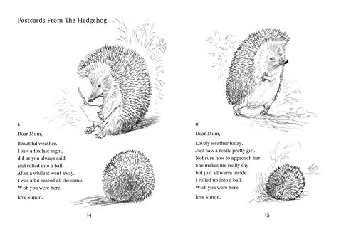 Poems to Fall in Love With