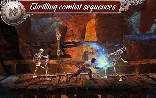Prince of Persia® The Shadow and the Flame