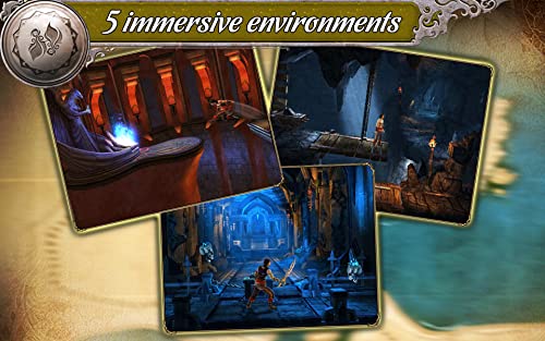 Prince of Persia® The Shadow and the Flame