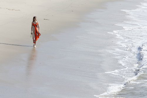 Prison Break - The final Break