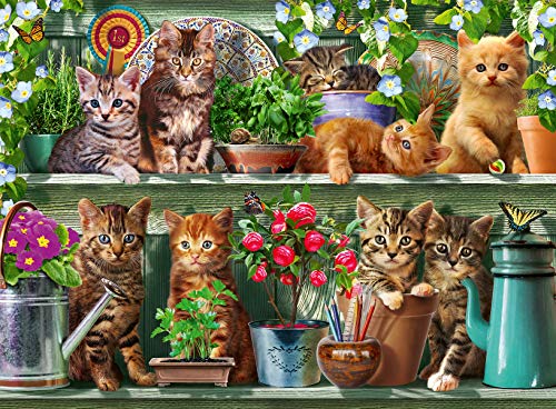 Ravensburger- Katzen Im Regal 14824-Puzzle para Adultos con estantería, Color 1. (14824) , color/modelo surtido