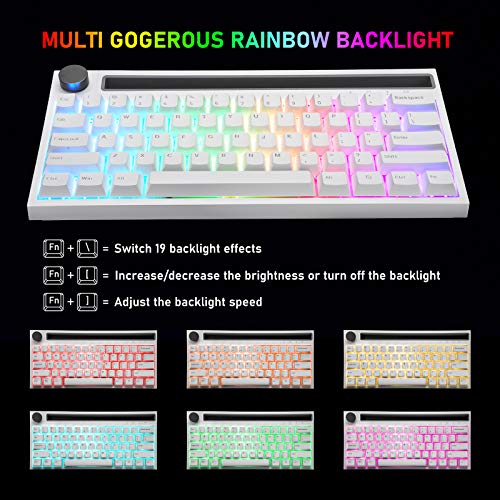 RGB Teclado mecánico , RK61 con cable / inalámbrico Teclado Bluetooth 61 teclas Teclado LED para juegos con retroiluminación a prueba de agua Anti-efecto fantasma (Interruptor blanco / azul)