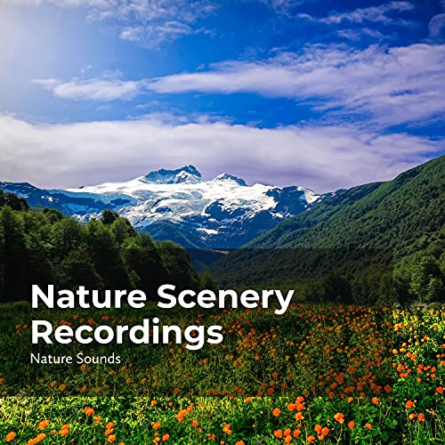 Rhythmic Jungle Buzz