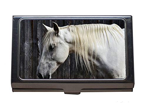 Soporte profesional para tarjetas de visita, cabeza equina animal, titular de la tarjeta de acero inoxidable
