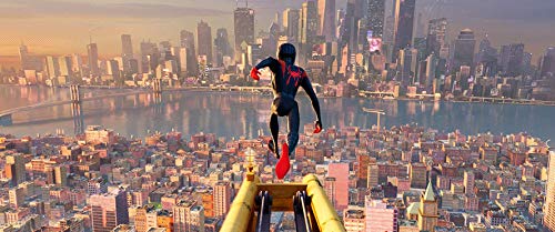 Spider-Man: Un Nuevo Universo [Blu-ray]