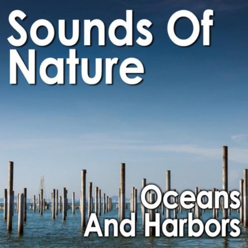 Steam Ship Passes Through a Canal Lock