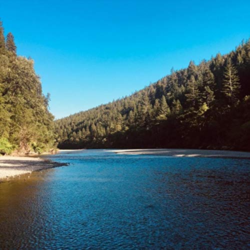 Steam to Leave the Station