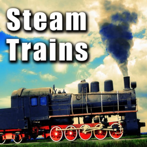 Steam Train Driving at Steady Speed with Track Rattle & Steam Whistle Blowing