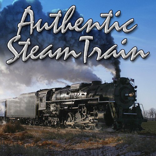 Steam Train Steady Speed, Heavy Track Clatter /Passenger Car