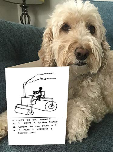 Tarjeta de felicitación divertida con texto en inglés"David Shrigley Steam Roller"