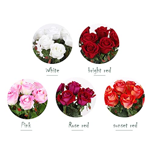 Tarjeta de visita profesional, Pájaro aviar, Pico, Águila, Vuelo en vuelo, Aire libre, Tarjeta de acero inoxidable