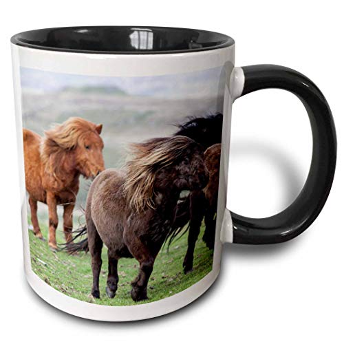 Taza de dos tonos Pony Shetland Islands Scotland, negro