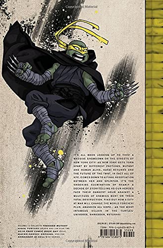 Teenage Mutant Ninja Turtles: The IDW Collection Volume 13 (TMNT IDW Collection)