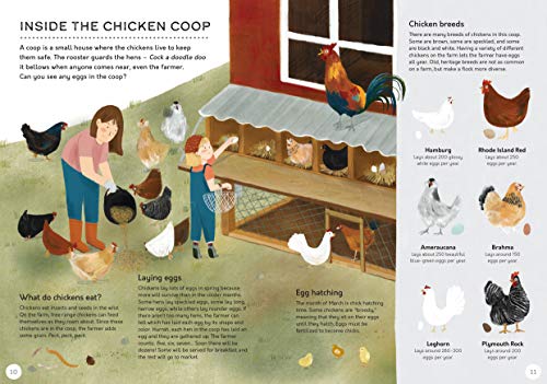 The Farm That Feeds Us: A year in the life of an organic farm