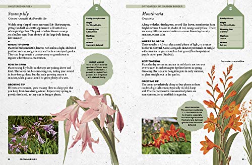 The Kew Gardener's Guide to Growing Bulbs: The art and science to grow your own bulbs (Kew Experts)