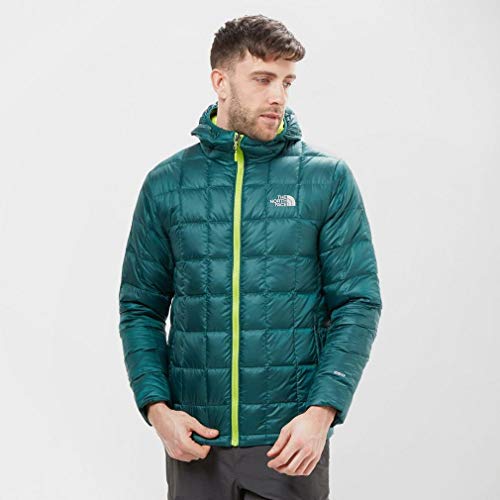 The North Face M Kabru Hd Dwn Jkt Botanical Garden Green S