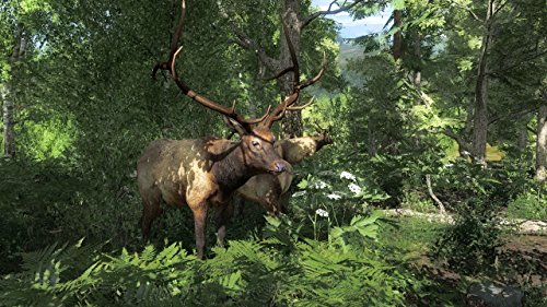 theHunter 2015 [Importación Alemana]