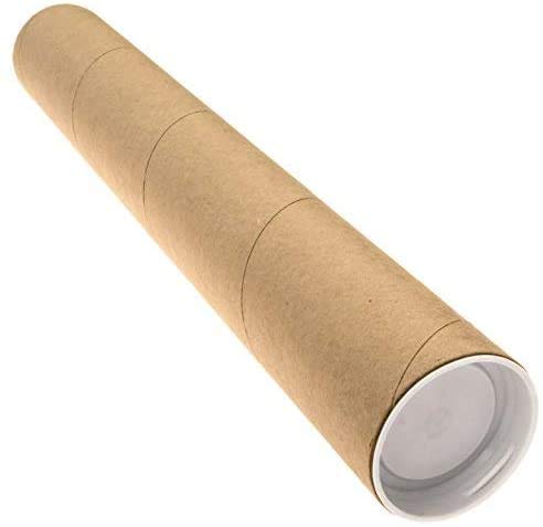 Theissen The Last of Us Key Art Poster - Matte Poster Frameless Gift 11 x 17 pulgadas (28cm x 43cm) *IT-00084