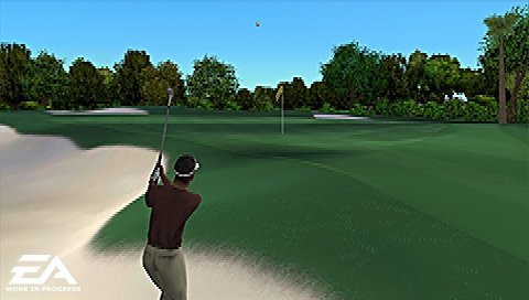 Tiger Woods PGA Tour 2006 (PSP) [Importación Inglesa]