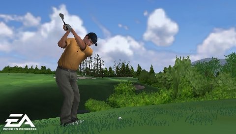 Tiger Woods PGA Tour 2006 (PSP) [Importación Inglesa]