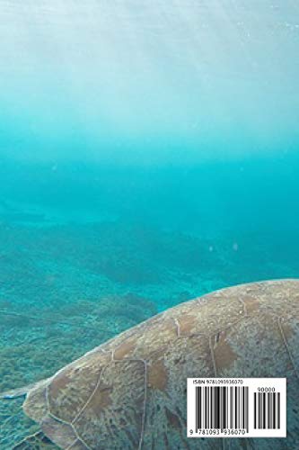 Turtle Notebook: unique turtles journal gift for animal lovers (120 pages) blank lined notebook / turtles journal / notebooks for women / great for ... kids notepad / turtles are my spirit animal