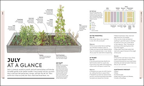 Veg in One Bed: How to Grow an Abundance of Food in One Raised Bed, Month by Month
